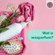 wat is wasparfum?