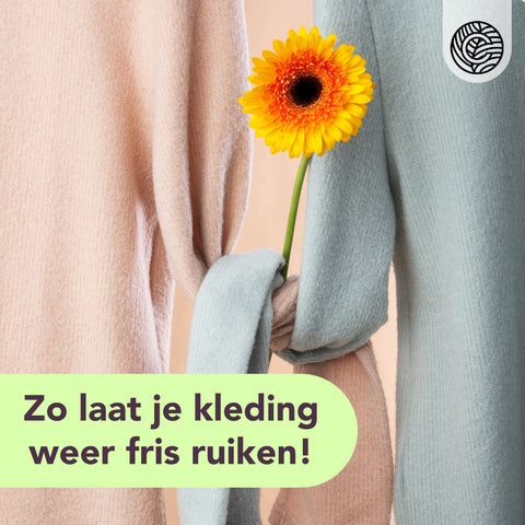 Muffe geur uit kleding verwijderen: Hoe doe je dat?