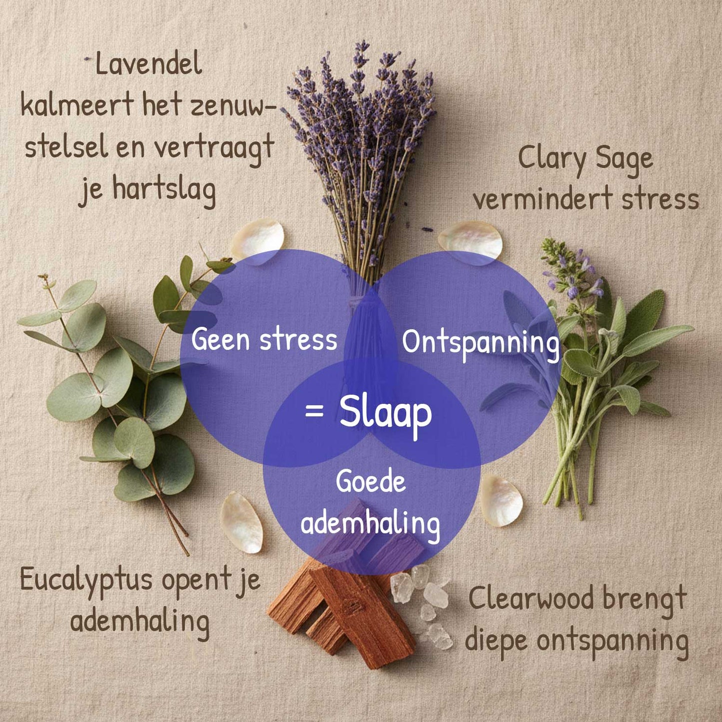 ActiveScent™ SLEEP